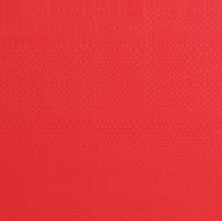 Plastové prestieranie TORO 28,5x44cm červené