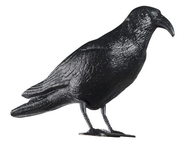 TORO Odpudzovač holubov - havran