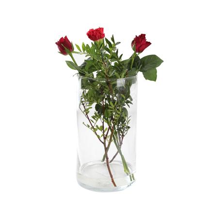 Sklenená váza ALSEY 29cm